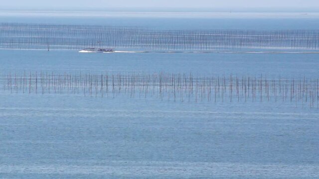 有明海の海苔網と海苔養殖専用船