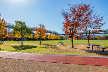 秋の神戸震災記念公園（みなとのもり公園）　神戸市中央区にて
