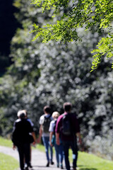 Obraz premium Group of persons walking on a path.
