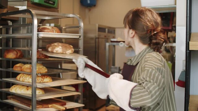 Professional female baker in protective gloves and apron taking out freshly baked bread from oven with shovel and putting loafs on shelve while working in bakery