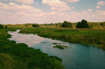 Fototapeta na wymiar Spring landscape with the Bystrzyca River. 