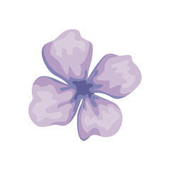 Isolated purple flower