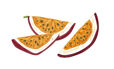 Tropical passion fruit pieces with juicy flesh and seeds. Cut quarters of passionfruit. Maracuja slices composition. Colored hand-drawn vector illustration of maracuya isolated on white background