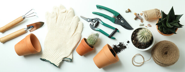 Concept of gardening on white background, top view