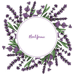 Round floral frame with lavender flowers. Vintage hand drawn style. Vector illustration, template, isolated on a white background