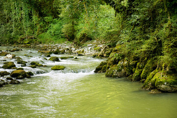 A river with stone rapids flowing in the mountains through the green jungle.