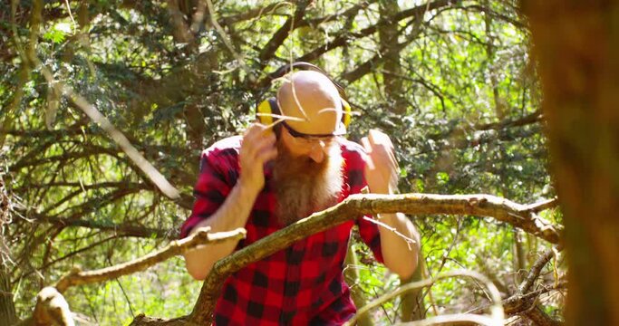 Lumberjack logger worker in protective gear cutting firewood timber tree in forest with chainsaw