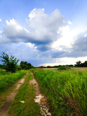 Ground road through green field against blue beautiful sky with clouds, scenic bright rural countryside nature landscape