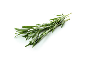 Fototapeta premium Fresh rosemary twig isolated on white background