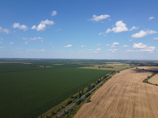 Beautiful agricultural landscape, open field with blue sky and white clouds. Farmfields from a bird's eye view.
