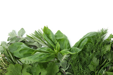 Fresh green herbs isolated on white background