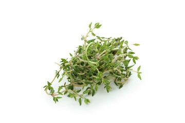 Green thyme herb isolated on white background