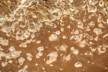 Brown mud and water, texture and background for design used for 3d models