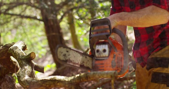 Lumberjack logger worker in protective gear cutting firewood timber tree in forest with chainsaw