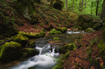 Obraz premium Mullerthal, la suisse luxembourgeoise