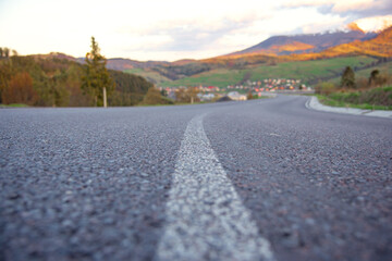 The road among fields and trees