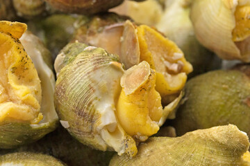 plusieurs bulots cuits en gros plan