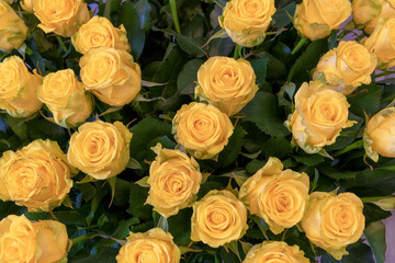 Obraz na płótnie Canvas Yellow roses bouquet closeup. Background of roses.