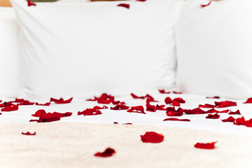 Red rose petals on white bed