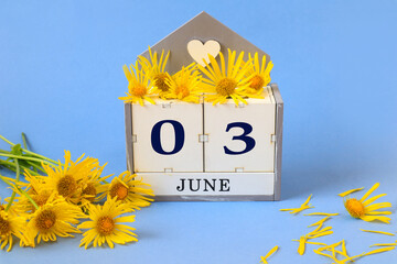Calendar for June 3: cubes with the numbers 0 and 3 , the name of the month of June in English, yellow chamomile scattered on a blue background
