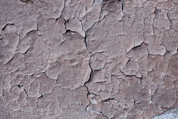 gray stucco grunge wall, abstract background gray wall blank