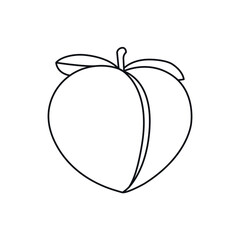 Peach fruit line icon vector