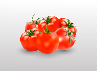 Tomato set. Red tomato collection. Photo-realistic vector tomatoes on transparent background.