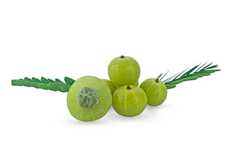 fresh phyllanthus emblica on a white,  isolated