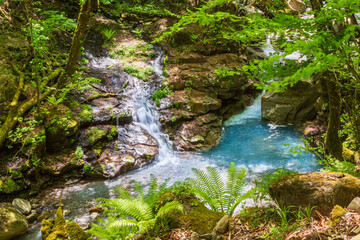 Naklejka premium 新緑のスッカン沢 スッカンブルー