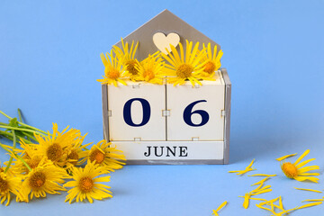 Calendar for June 6: cubes with the numbers 0 and 6 , the name of the month of June in English, yellow chamomile scattered on a blue background