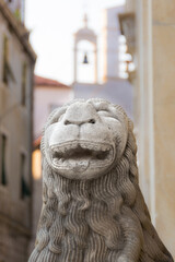 sculpture of a lion's head on the facade of the Šibenik Cathedral , Croatia