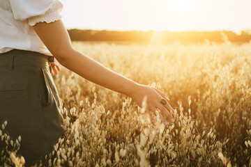 Young woman in a oats field. Girl walking through field and touches cereal. Rich Harvest concept....