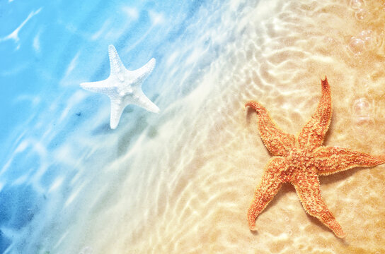 Starfish on the summer beach in sea water. Summer background.
