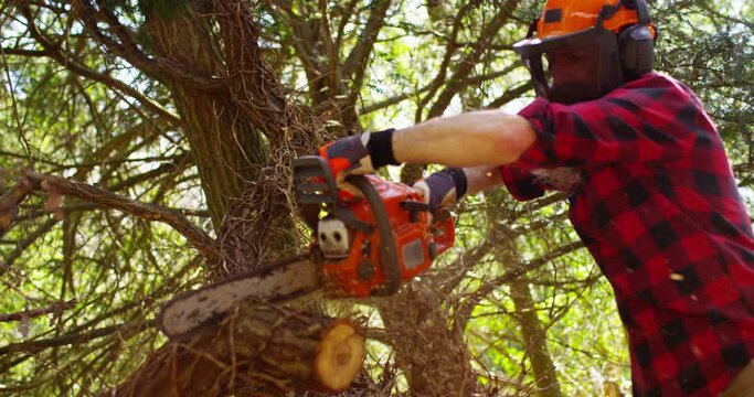 Woodcutter saws tree with chainsaw on sawmill