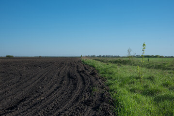 Fototapeta na wymiar A barren plowed field of mud
