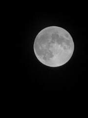 Obraz premium full moon in the night sky