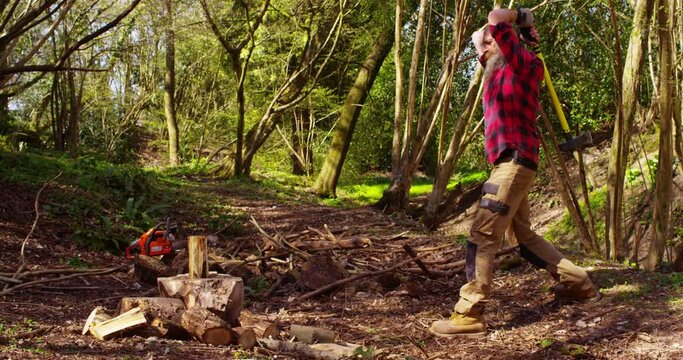 A lumberjack is holding an axe ready to chop logs in a forest