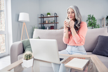 Portrait of attractive dreamy middle-aged woman using laptop sitting on divan drinking cacao rest pause at home house flat indoor