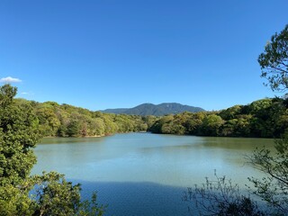 Fototapeta na wymiar lake and forest