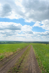 Natural rustic summer landscape. country road, green field, blue sky with clouds.