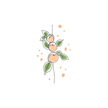 recommend clip art: Modern minimalist one line drawing of peach branch and abstract colored shapes.