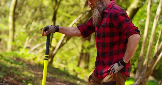 Portrait of a strong lumberjack in plaid shirt chopping tree in wood with sharp axe