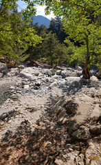 Samaria-Schlucht auf Kreta