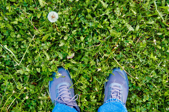 top view of feet in sneakers on green grass