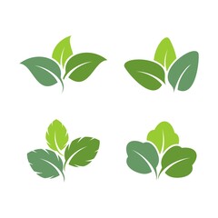 green leaf icons design template vector
