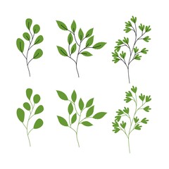 green leaf icons design template vector
