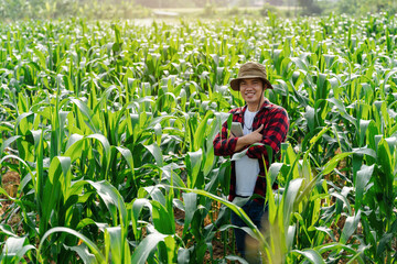 happy asian farmer or agronomist holding tablet in Corn field in summer