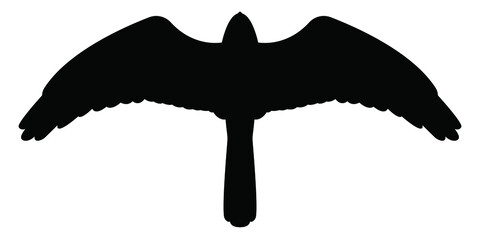 The silhouette of a bird of prey. Harrier in flight, vetkor, isolated on white. Stock illustration.
