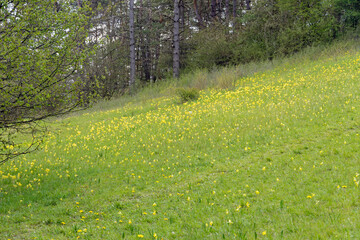 Wandern im Nationalpark Eifel