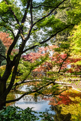 A beautiful garden which you can visit in Bellagio is located directly on Lake Como.